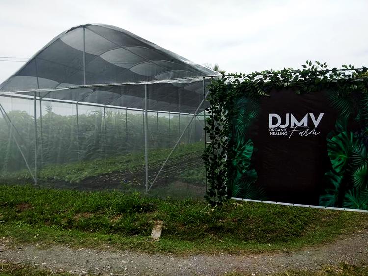 DJMV Organic Healing Park