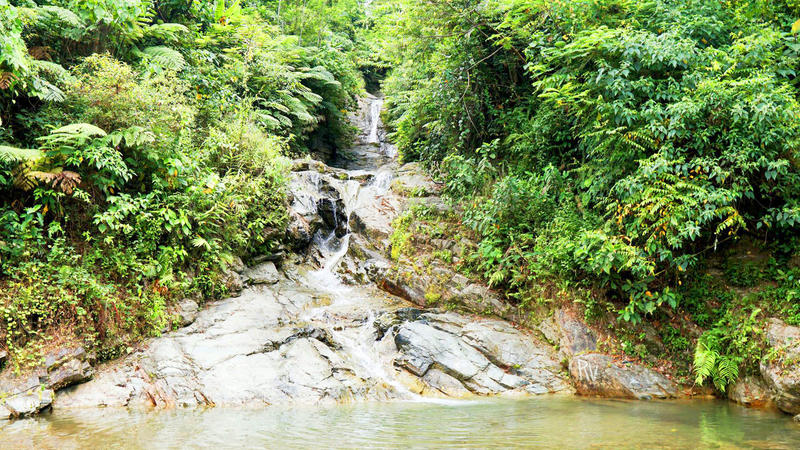 Montelago Hot Spring & Forest Falls