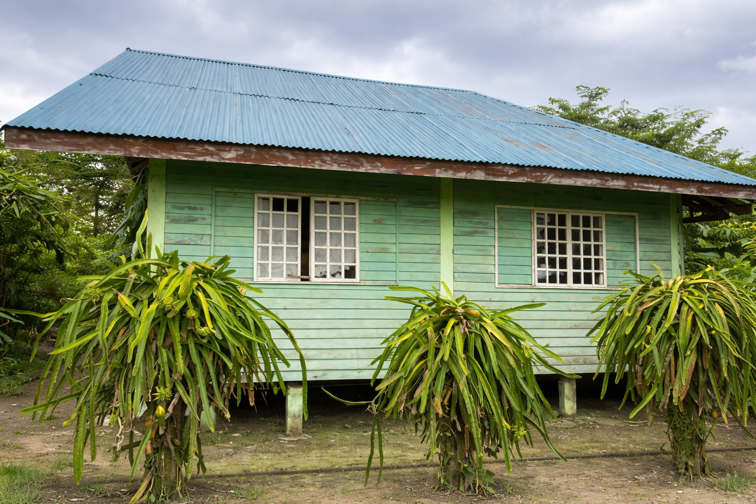 Melbourne Lomi House